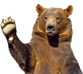 Waving Bear